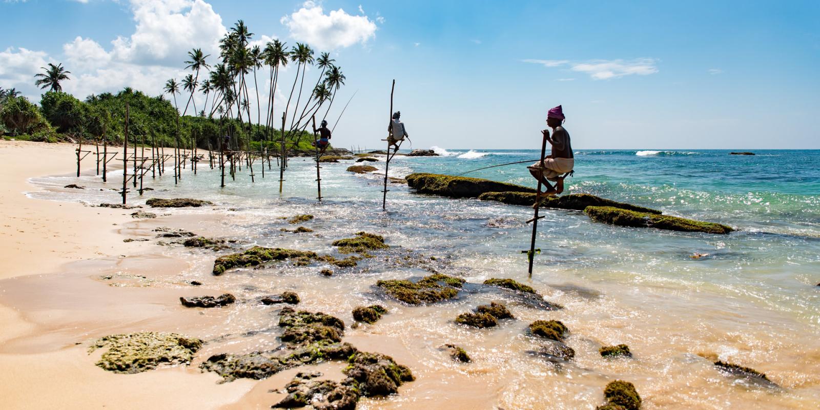 Mirrisa - pozorování plejtváků obrovských