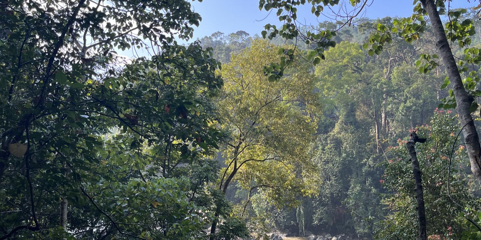 Národní park Sinharaja